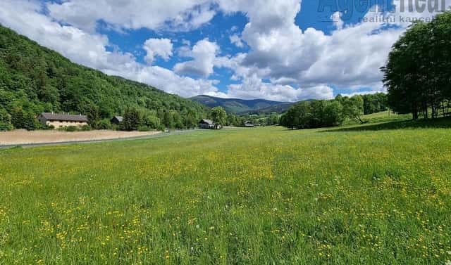 Prodej stavebního pozemku 1 977 m², Vernířovice, okres Šumperk