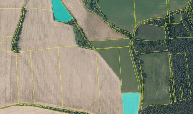 Prodej pole 21 466 m², Velečín, okres Plzeň-sever
