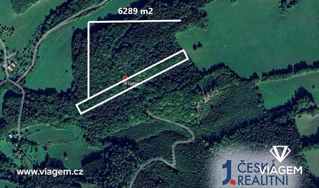 Prodej lesa 1 572 m², Lužná, okres Vsetín