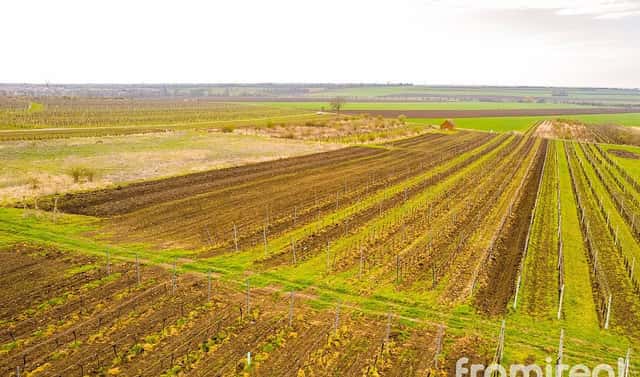 Prodej stavebního pozemku 3 646 m², Moravský Žižkov, okres Břeclav
