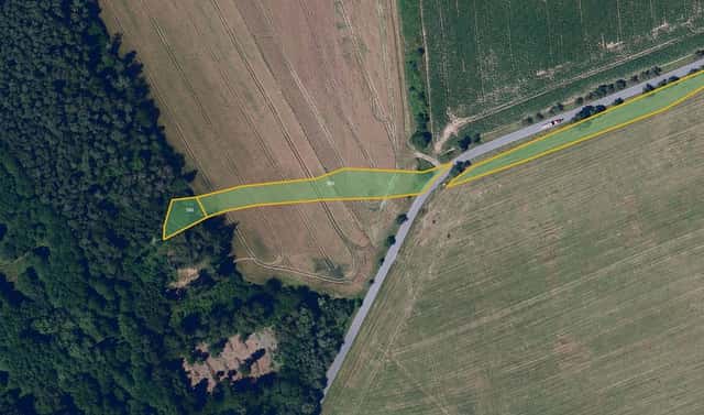 Prodej louky 5 877 m², Proseč, okres Chrudim