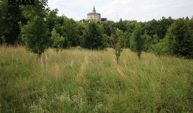 Prodej louky 25 331 m², Frýdlant, okres Liberec