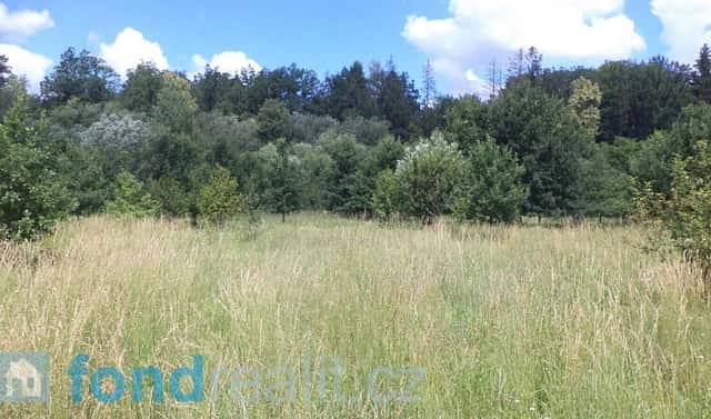 Prodej pozemku 12 879 m², Doudleby, okres České Budějovice