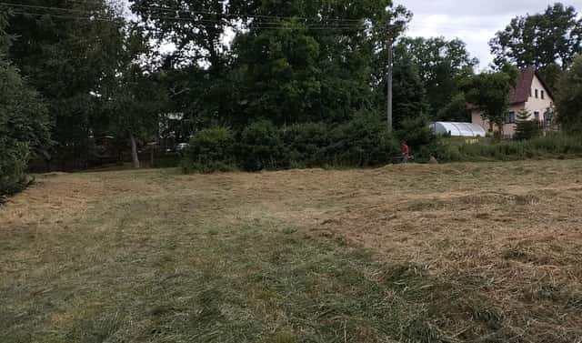 Pronájem louky 3 000 m², Líšťany – Košetice, okres Plzeň-sever
