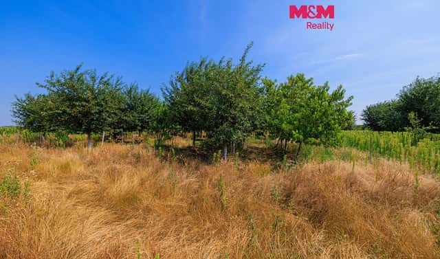 Prodej pole 12 442 m², Rakvice, okres Břeclav