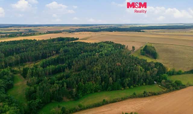 Prodej lesa 5 988 m², Břežany, okres Rakovník