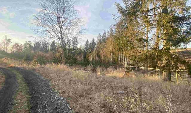 Prodej pozemku 5 268 m², Kočov, okres Tachov