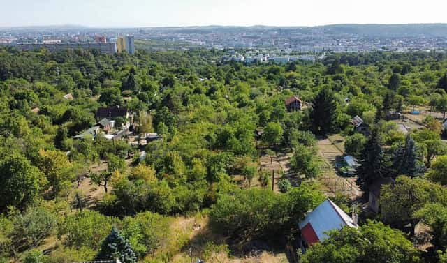 Prodej zahrady 463 m², Zaječí hora, Brno – Sadová, okres Brno-město