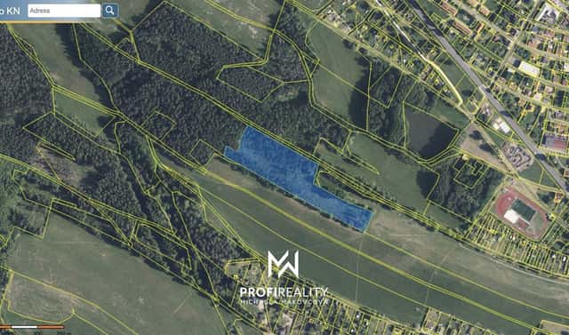 Prodej lesa 16 805 m², Cvikov, okres Česká Lípa