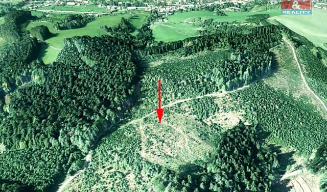 Prodej lesa 12 578 m², Lhota u Vsetína, okres Vsetín