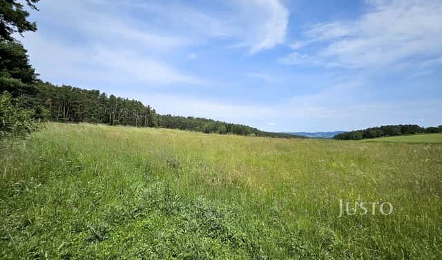 Prodej stavebního pozemku 8 980 m², Dobev – Velké Nepodřice, okres Písek