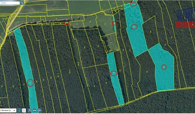 Prodej lesa 41 358 m², Hromnice – Chotiná, okres Plzeň-sever