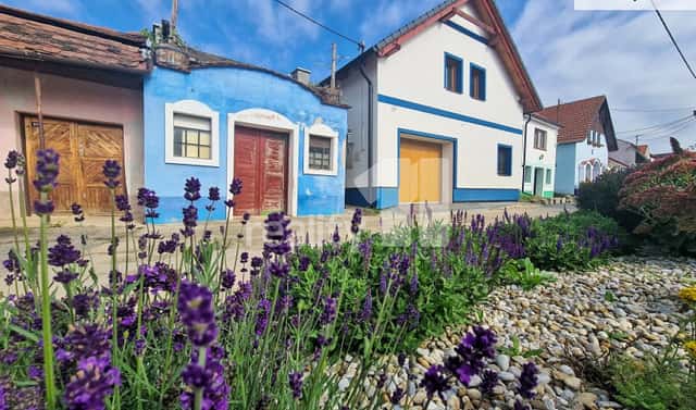 Prodej domu 183 m² s pozemkem 115 m², Bořetice, okres Břeclav