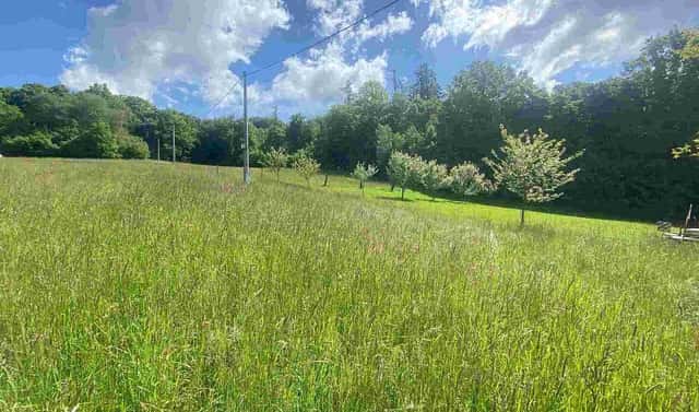 Prodej pozemku 574 m², Odry, okres Nový Jičín
