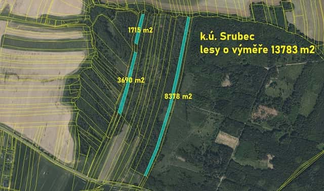Prodej lesa 13 783 m², Ledenická-Škarda, Srubec, okres České Budějovice