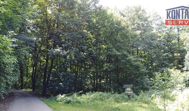 Prodej lesa 2 404 m², Hrabyně, okres Opava