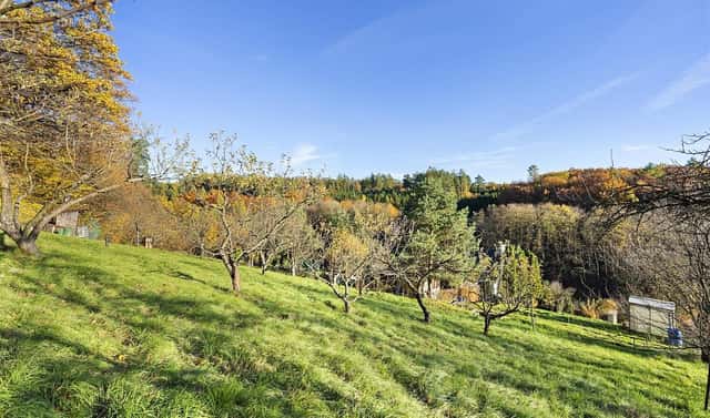 Prodej zahrady 554 m², Zlín – Malenovice