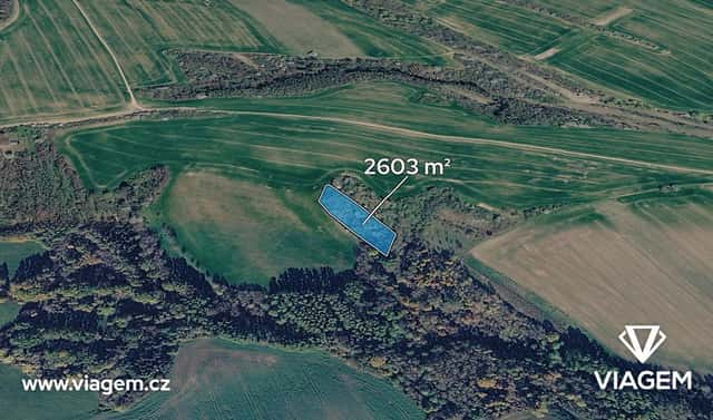 Prodej lesa 2 603 m², Jalubí, okres Uherské Hradiště