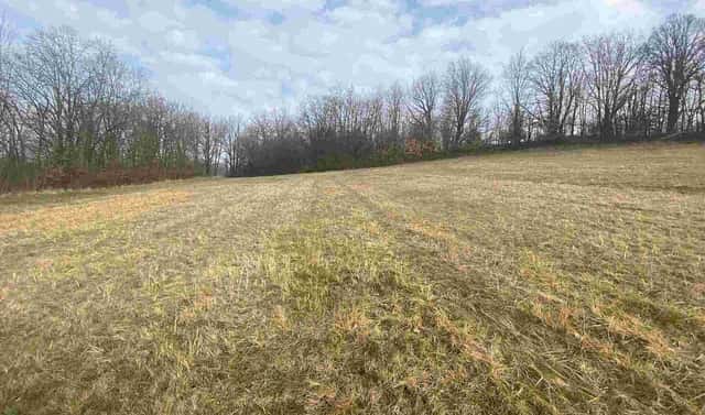 Prodej pozemku 9 269 m², Linhartice, okres Svitavy