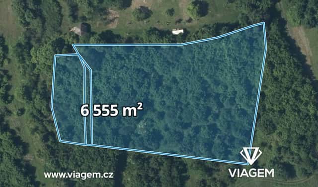Prodej lesa 1 311 m², Žitenice, okres Litoměřice