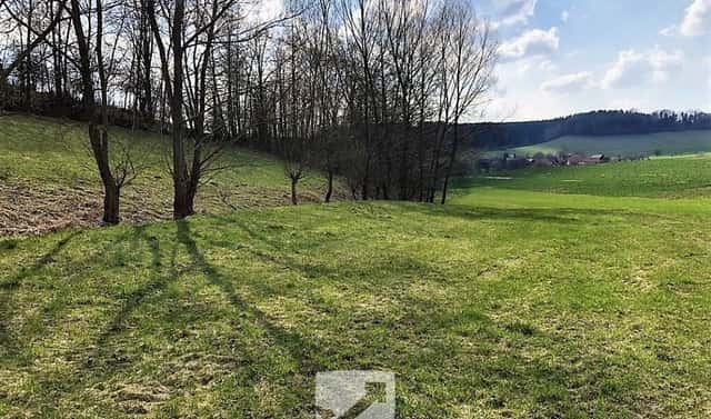 Prodej louky 3 277 m², Bílá, okres Liberec