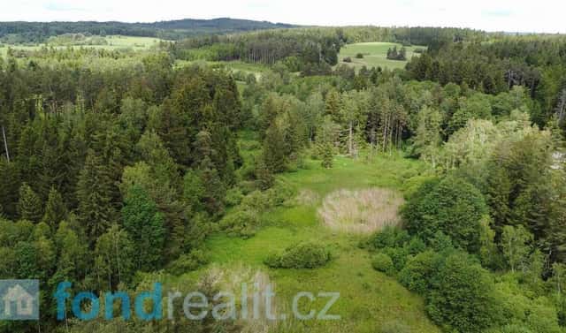 Prodej pozemku 27 662 m², Slavonice – Stálkov, okres Jindřichův Hradec