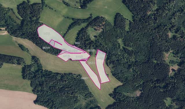 Prodej louky 51 772 m², Postřelmůvek, okres Šumperk