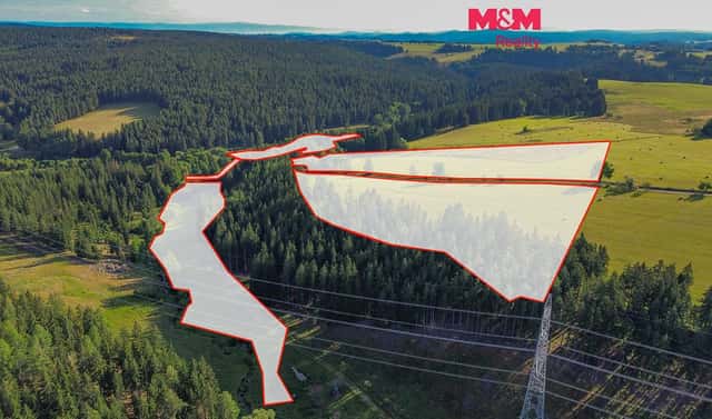 Prodej louky 112 976 m², Mnichov, okres Cheb