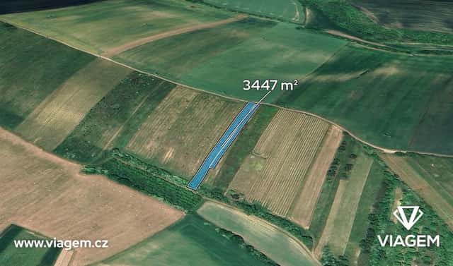 Prodej pole 1 723 m², Brumovice, okres Břeclav