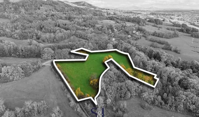 Prodej louky 37 129 m², Stvolínky, okres Česká Lípa