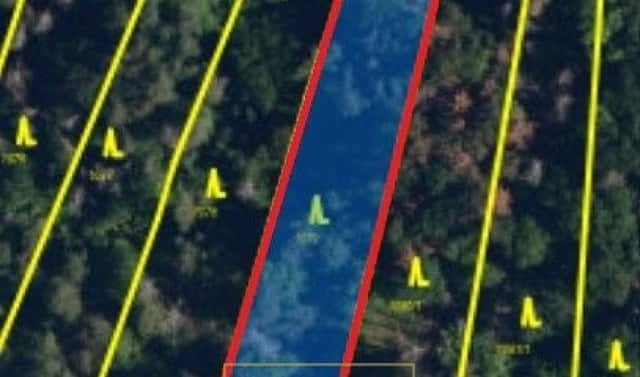 Prodej lesa 2 470 m², Březina, okres Brno-venkov
