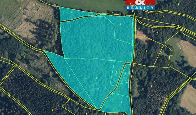Prodej lesa 19 245 m², Bratrušov, okres Šumperk