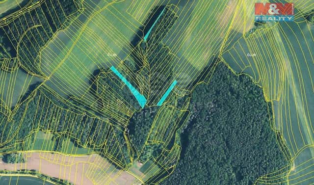 Prodej lesa 4 471 m², Újezd u Černé Hory, okres Blansko