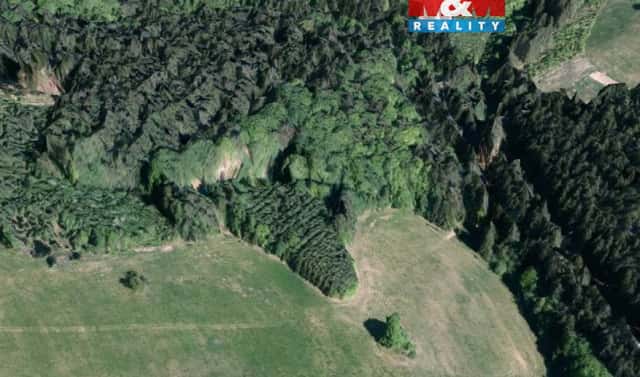 Prodej lesa 8 743 m², Valašská Senice, okres Vsetín
