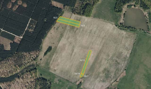 Prodej louky 12 940 m², Kladruby nad Labem – Kolesa, okres Pardubice