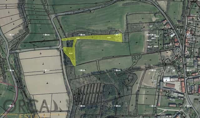 Prodej lesa 828 m², Hoštka, okres Litoměřice