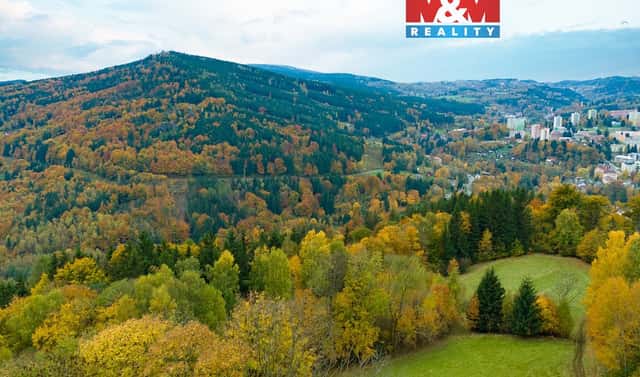 Prodej louky 1 589 m², Tanvald – Šumburk nad Desnou, okres Jablonec nad Nisou