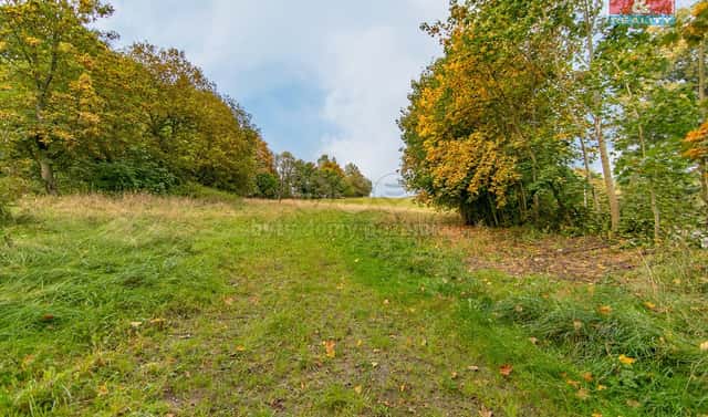 Prodej stavebního pozemku 1 078 m², Kraslice, okres Sokolov