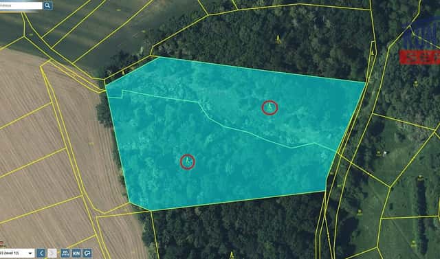 Prodej lesa 21 606 m², Kovanec, okres Mladá Boleslav