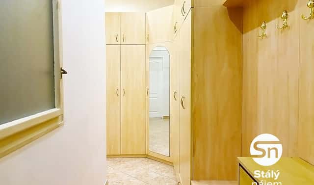 Pronájem bytu 1+1 48 m², Chrudimská, Praha 3 – Vinohrady