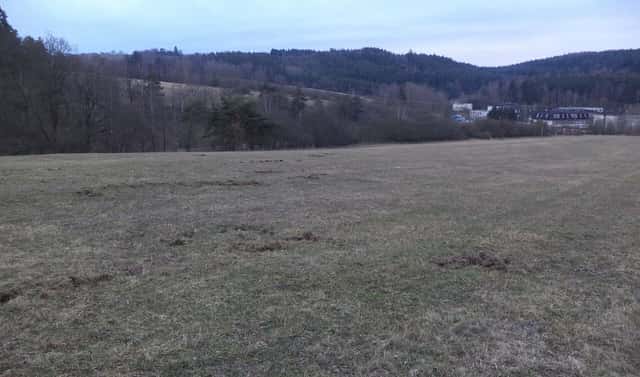 Prodej pole 6 625 m², Tis u Blatna – Balková, okres Plzeň-sever