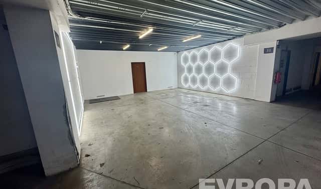 Pronájem komerčního objektu (jiného typu) 58 m², U Borského parku, Plzeň – Jižní Předměstí, okres Plzeň-město
