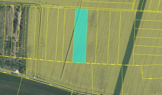 Prodej pole 10 074 m², Dubany, okres Pardubice