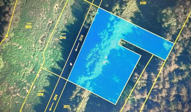 Prodej louky 3 500 m², Jindřichův Hradec – Dolní Radouň