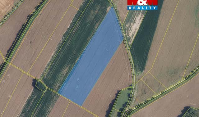 Prodej pole 72 416 m², Damníkov, okres Ústí nad Orlicí