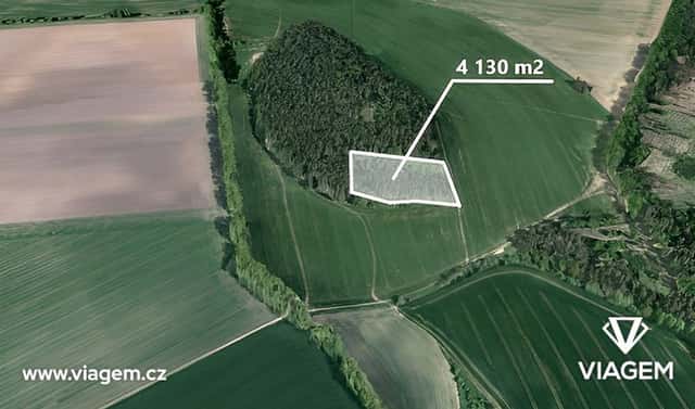 Prodej lesa 1 150 m², Seloutky, okres Prostějov