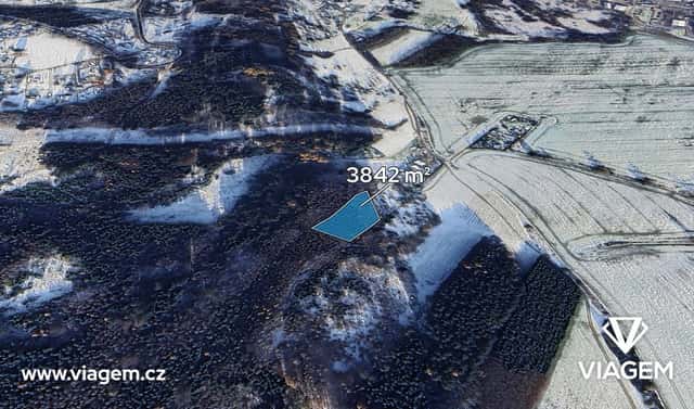 Prodej lesa 3 842 m², Česká Třebová, okres Ústí nad Orlicí