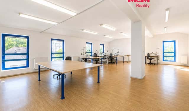 Prodej obchodních prostor 1 200 m², Petříkov, Letohrad, okres Ústí nad Orlicí