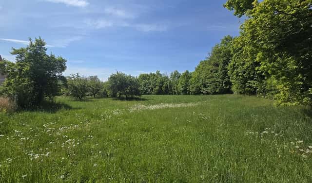Prodej stavebního pozemku 820 m², Maršovice, okres Benešov