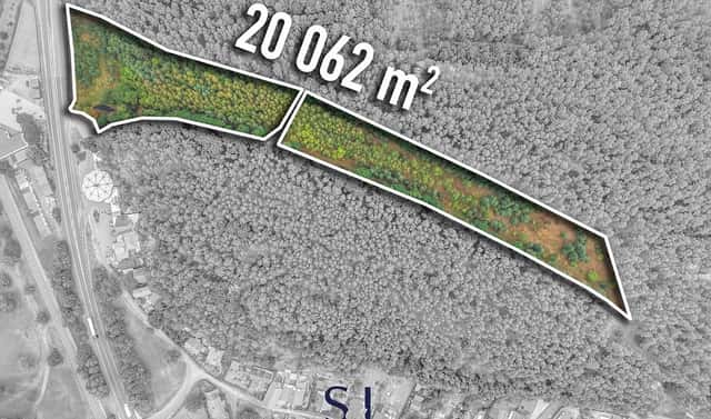 Prodej komerčního pozemku 20 062 m², Sosnová, okres Česká Lípa